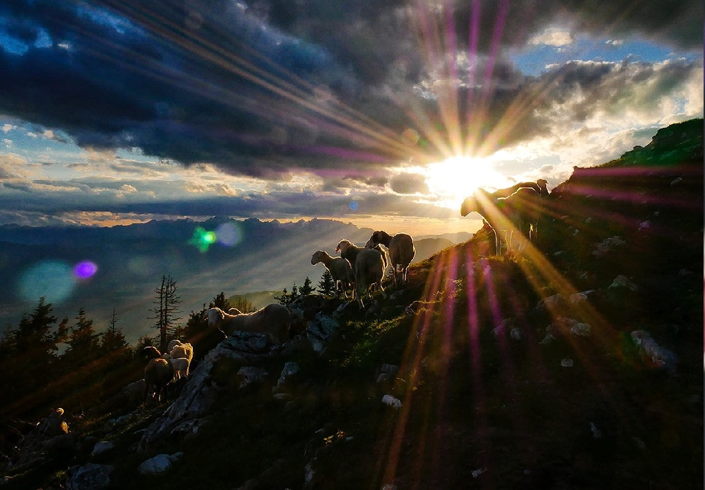 KFUO Radio Zechariah 10